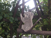 s_A_PICT0049_thumb.png